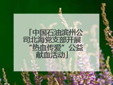 中国石油滨州公司北海党支部开展“热血传爱”公益献血活动
