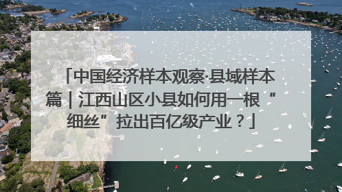 中国经济样本观察·县域样本篇｜江西山区小县如何用一根“细丝”拉出百亿级产业？