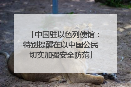 中国驻以色列使馆：特别提醒在以中国公民切实加强安全防范