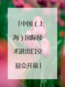 中国（上海）国际技术进出口交易会开幕