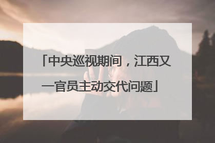 中央巡视期间，江西又一官员主动交代问题