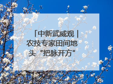 中新武威观｜农技专家田间地头“把脉开方”送“及时雨”