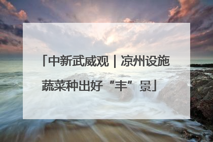 中新武威观｜凉州设施蔬菜种出好“丰”景
