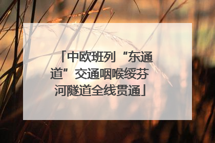 中欧班列“东通道”交通咽喉绥芬河隧道全线贯通