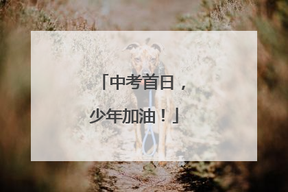 中考首日，少年加油！