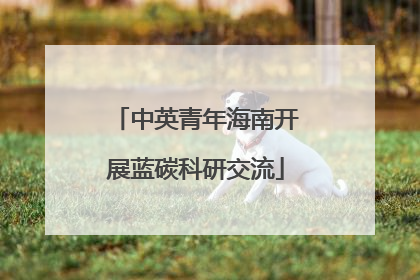 中英青年海南开展蓝碳科研交流