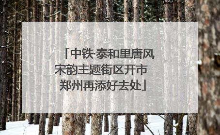 中铁·泰和里唐风宋韵主题街区开市 郑州再添好去处