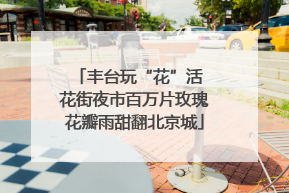 丰台玩“花”活 花街夜市百万片玫瑰花瓣雨甜翻北京城