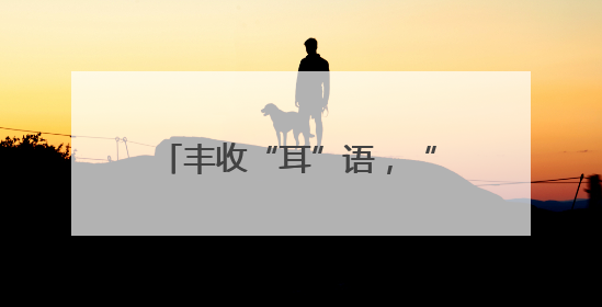 丰收“耳”语，“粽”享端午—山阳县乡村振兴投资开发有限公司首届木耳采摘活动盛大启幕