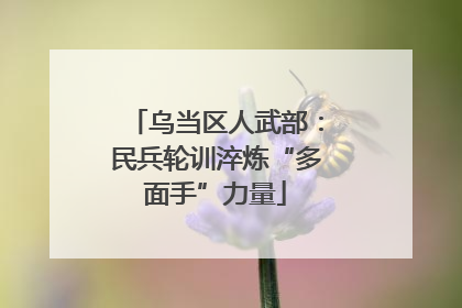 乌当区人武部：民兵轮训淬炼“多面手”力量