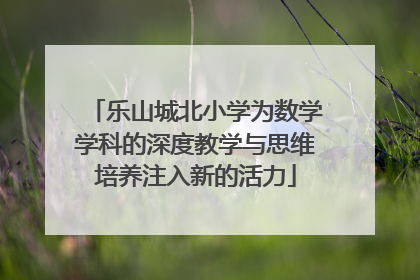 乐山城北小学为数学学科的深度教学与思维培养注入新的活力