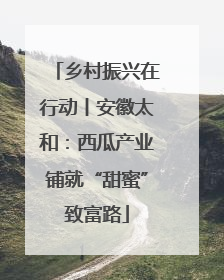 乡村振兴在行动丨安徽太和：西瓜产业铺就“甜蜜”致富路