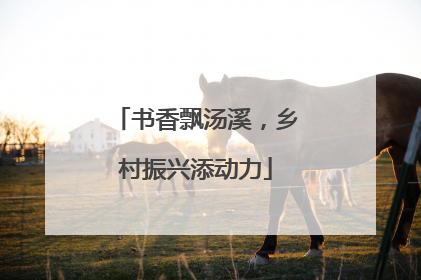 书香飘汤溪，乡村振兴添动力