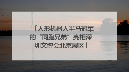 人形机器人半马冠军的“同胞兄弟”亮相深圳文博会北京展区
