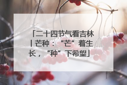 二十四节气看吉林丨芒种：“芒”着生长，“种”下希望