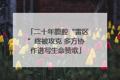 二十年腹腔“雷区”终被攻克 多方协作谱写生命赞歌