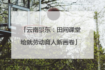 云南景东：田间课堂绘就劳动育人新画卷