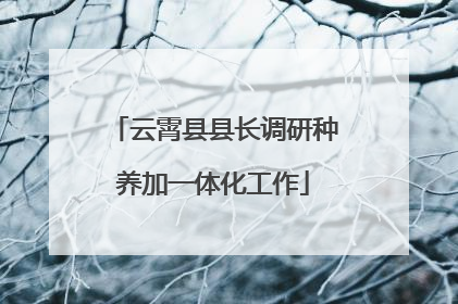云霄县县长调研种养加一体化工作