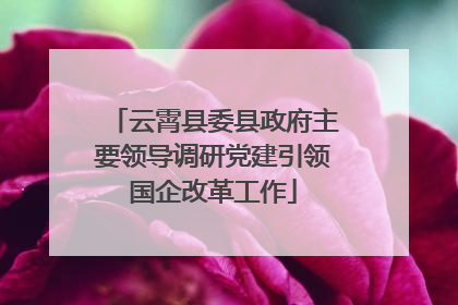 云霄县委县政府主要领导调研党建引领国企改革工作