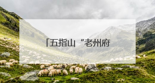 五指山“老州府杯”足球赛：以球为媒 勾勒海南自贸港活力新画卷