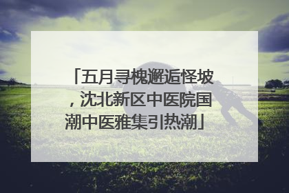 五月寻槐邂逅怪坡，沈北新区中医院国潮中医雅集引热潮