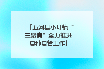 五河县小圩镇“三聚焦”全力推进夏种夏管工作