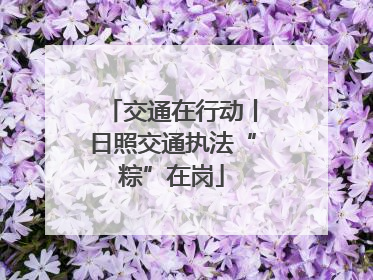交通在行动丨日照交通执法“粽”在岗