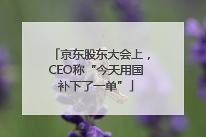 京东股东大会上，CEO称“今天用国补下了一单”
