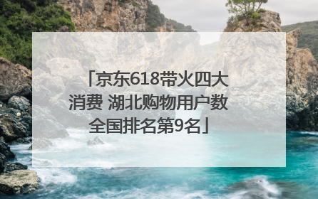 京东618带火四大消费 湖北购物用户数全国排名第9名