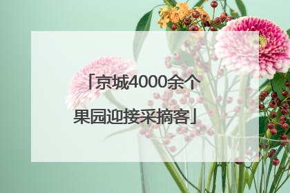 京城4000余个果园迎接采摘客
