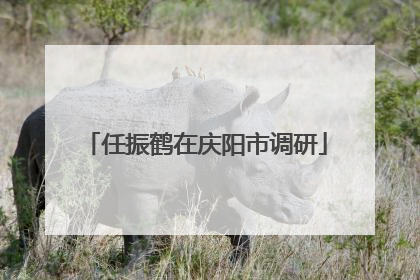 任振鹤在庆阳市调研