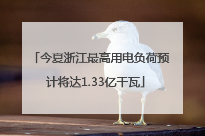 今夏浙江最高用电负荷预计将达1.33亿千瓦