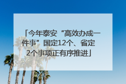 今年泰安“高效办成一件事”国定12个、省定2个事项正有序推进