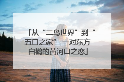 从“二鸟世界”到“五口之家” 一对东方白鹳的黄河口之恋