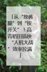 从“挽裤腿”到“按开关”！高青稻田插秧“人机大战”效率拉满
