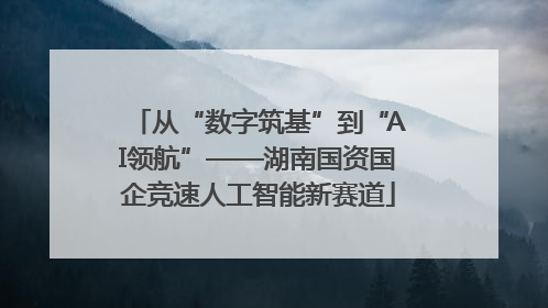从“数字筑基”到“AI领航”——湖南国资国企竞速人工智能新赛道