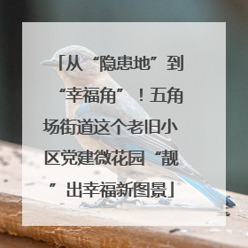 从“隐患地”到“幸福角”！五角场街道这个老旧小区党建微花园“靓”出幸福新图景