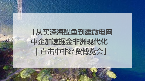 从买深海鳀鱼到建微电网 中企加速掘金非洲现代化｜直击中非经贸博览会