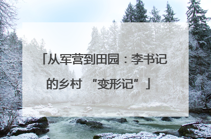 从军营到田园：李书记的乡村 “变形记”