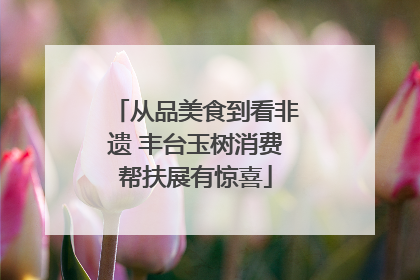 从品美食到看非遗 丰台玉树消费帮扶展有惊喜