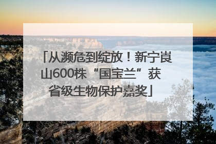 从濒危到绽放！新宁崀山600株“国宝兰”获省级生物保护嘉奖