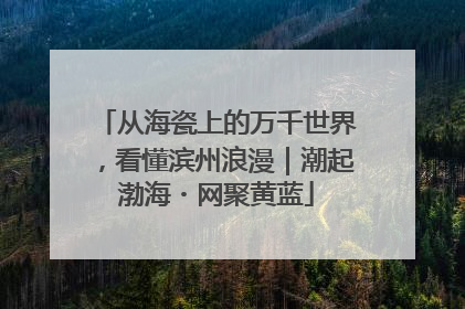 从海瓷上的万千世界，看懂滨州浪漫｜潮起渤海・网聚黄蓝