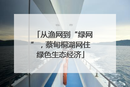 从渔网到“绿网”，蔡甸桐湖网住绿色生态经济