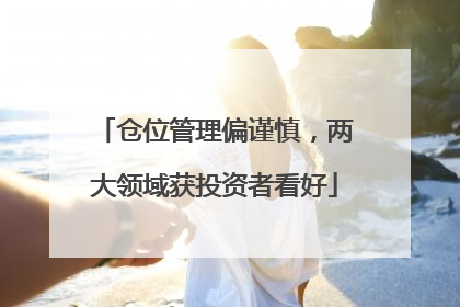 仓位管理偏谨慎，两大领域获投资者看好