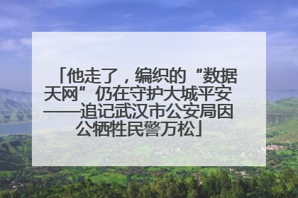 他走了，编织的“数据天网”仍在守护大城平安——追记武汉市公安局因公牺牲民警万松