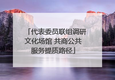 代表委员联组调研文化场馆 共商公共服务提质路径
