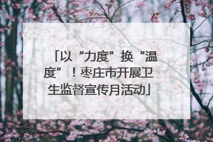以“力度”换“温度”！枣庄市开展卫生监督宣传月活动