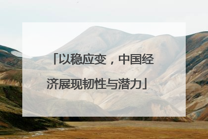 以稳应变，中国经济展现韧性与潜力