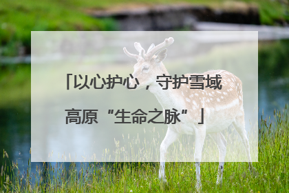 以心护心，守护雪域高原“生命之脉”