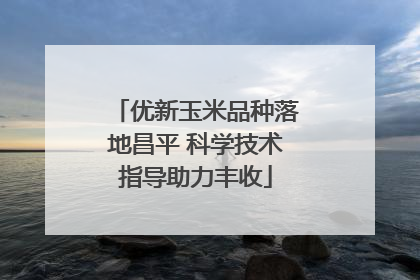 优新玉米品种落地昌平 科学技术指导助力丰收